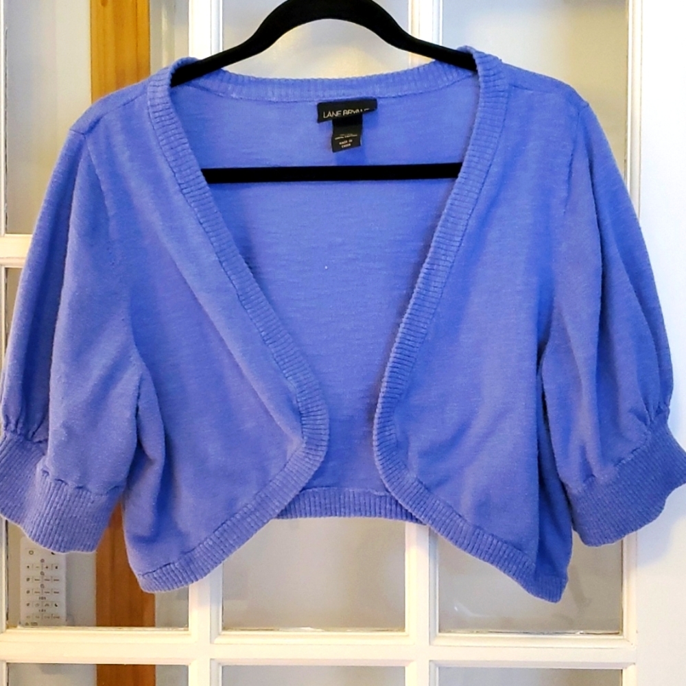 Lane Bryant Women's Cropped Sweater Blue Size 18/20